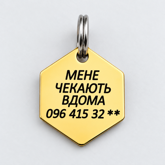 Персональний адресник для кота лазерне гравіювання
