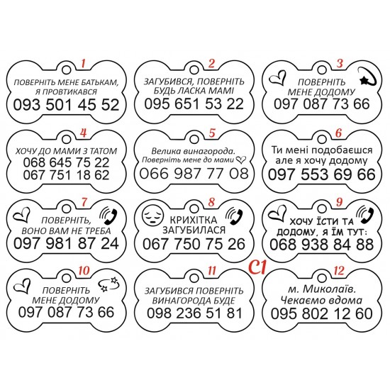 Адресник хамелеон для собак у формі кісточки з гравіюванням